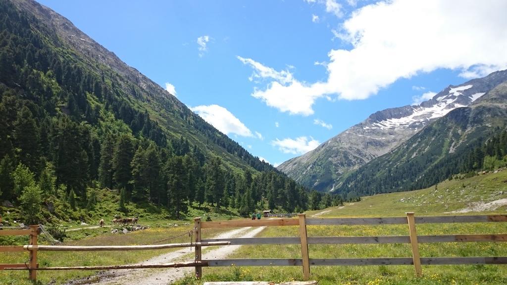 Hotel Eckartauerhof Mayrhofen Buitenkant foto