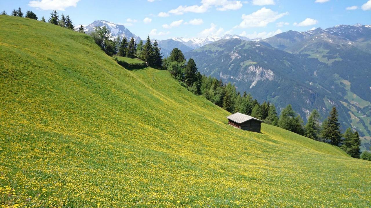 Hotel Eckartauerhof Mayrhofen Buitenkant foto